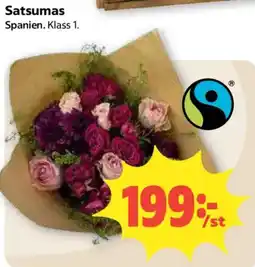 Coop Satsumas erbjuda