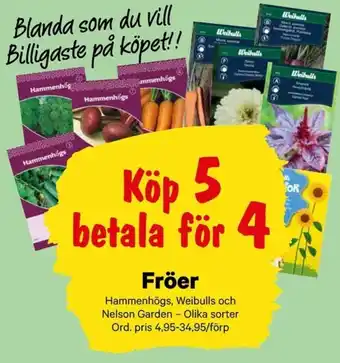 City Gross Hammenhögs Fröer erbjuda