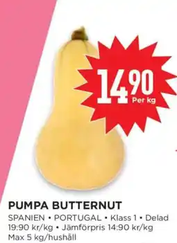 Willys Pumpa butternut erbjuda