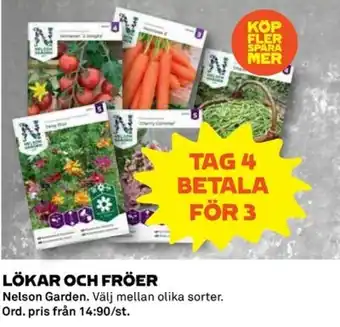 Nelson Garden Lökar och Fröer