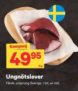 City Gross Ungnötslever erbjuda