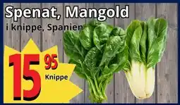 Supergrossen Spenat, Mangold erbjuda