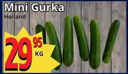 Supergrossen Mini Gurka erbjuda