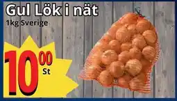 Supergrossen Gul Lök i nät erbjuda
