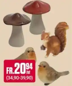 ÖoB Fåglar och svampar erbjuda