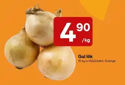 Snabbgross Gul lök erbjuda