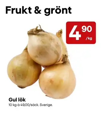 Gul lök