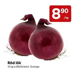 Snabbgross Röd lök erbjuda