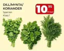 Matrix Butikerna Dill/mynta/koriander erbjuda