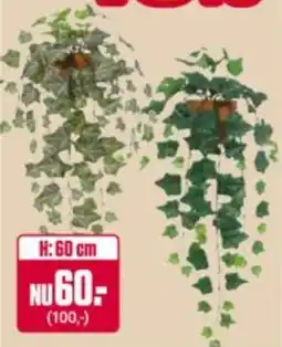 ÖoB Ivy erbjuda