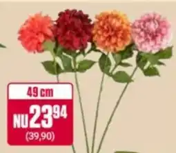 ÖoB Blommor erbjuda