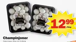 Pekås Champinjoner erbjuda