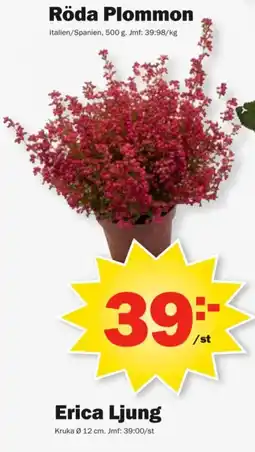 Pekås Erica Ljung erbjuda