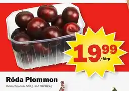 Pekås Röda Plommon erbjuda