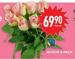 Willys ROSOR 9-PACK erbjuda