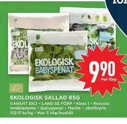 Willys EKOLOGISK SALLAD 65G erbjuda