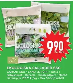 Willys Hemma EKOLOGISKA SALLADER 65G erbjuda