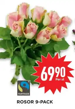 Willys Hemma ROSOR 9-PACK erbjuda