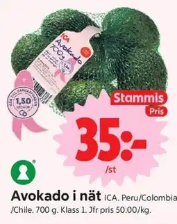 ICA Nära Avokado i nät, Medlemspris erbjuda