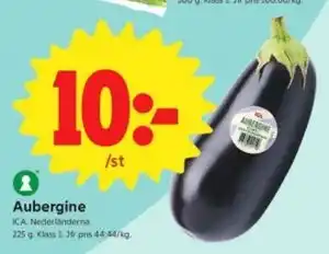 Aubergine