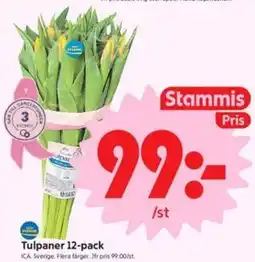 ICA Nära Tulpaner 12-pack, Medlemspris erbjuda