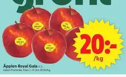ICA Supermarket Äpplen Royal Gala erbjuda