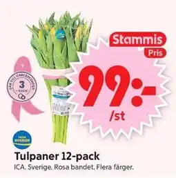 ICA Supermarket Tulpaner 12-pack, Medlemspris erbjuda
