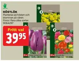 Jem&Fix HÖSTLÖK erbjuda