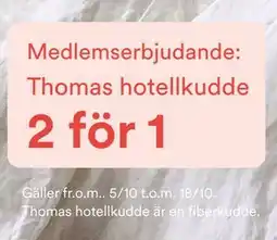 Hemtex Thomas hotellkudde erbjuda