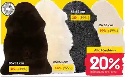 Rusta Alla fårskinn erbjuda