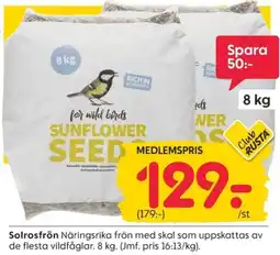 Rusta Solrosfrön erbjuda