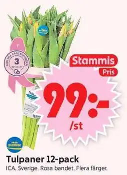 ICA Supermarket Stammis tulpaner erbjuda