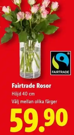 Lidl Fairtrade Rosor erbjuda
