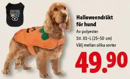 Lidl Halloweendräkt för hund erbjuda