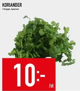 Matdax Koriander erbjuda