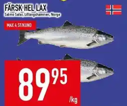 Matdax Färsk hel lax erbjuda