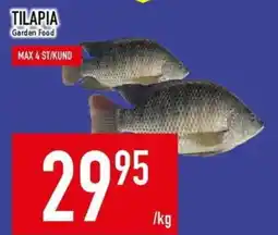 Matdax Tilapia Garden Food erbjuda