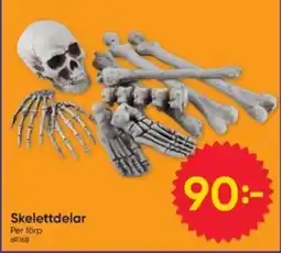 DollarStore Skelettdele erbjuda