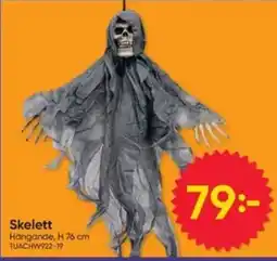 DollarStore Skelett erbjuda