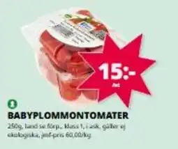 Tempo Babyplommontomater erbjuda