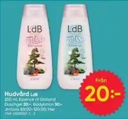 DollarStore LdB hudvård erbjuda