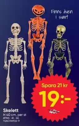DollarStore Skelett erbjuda