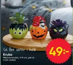 DollarStore Kruka erbjuda