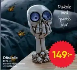 DollarStore Döskalle erbjuda