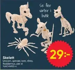 DollarStore Skelett erbjuda