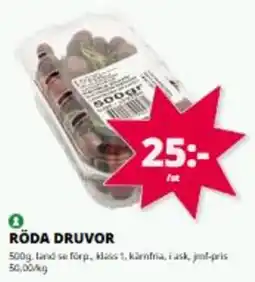 Tempo Röda druvor erbjuda