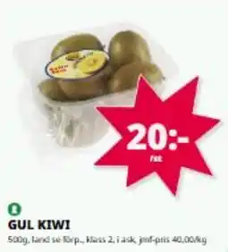 Tempo Gul kiwi erbjuda