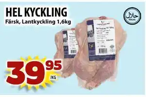 HEL KYCKLING