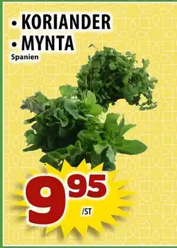 Matvärlden Tensta KORIANDER MYNTA erbjuda