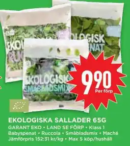 Willys EKOLIGISKA SALLADER 65G erbjuda